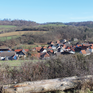 Chronik des Dorfes Elleringhausen mit historischem und regionalem Bezug