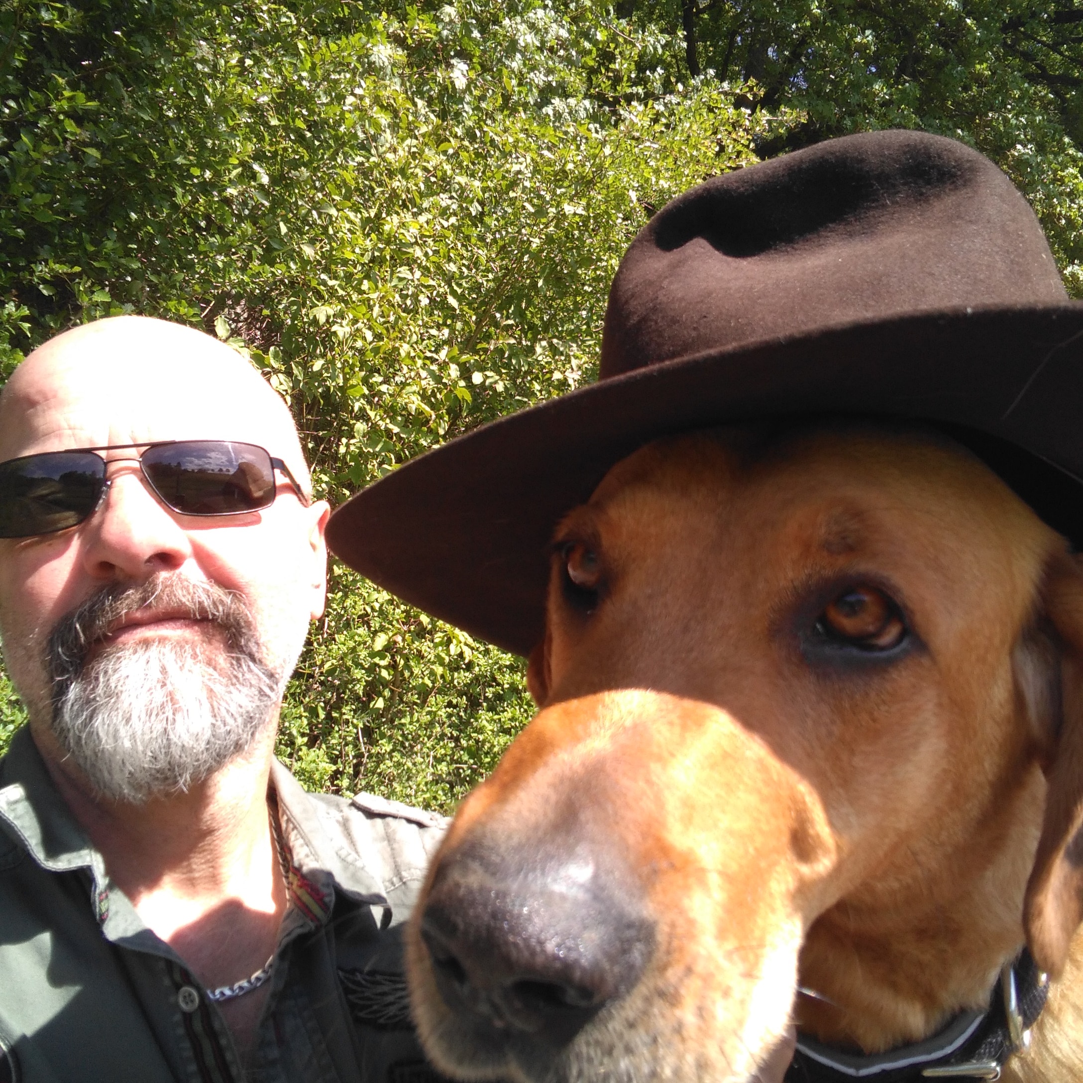 IMG_20200915_144114_015