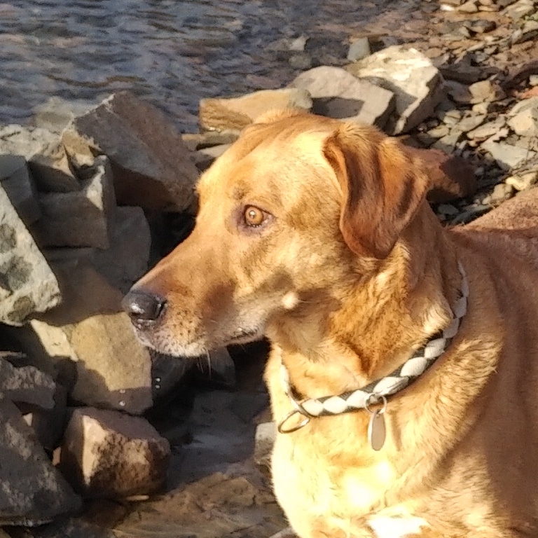 IMG_20210131_095140_666