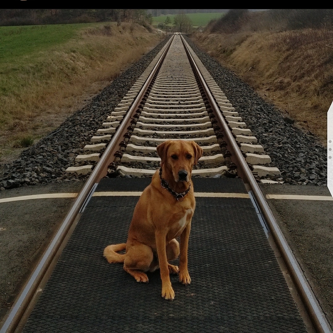 IMG_20210325_214319_761