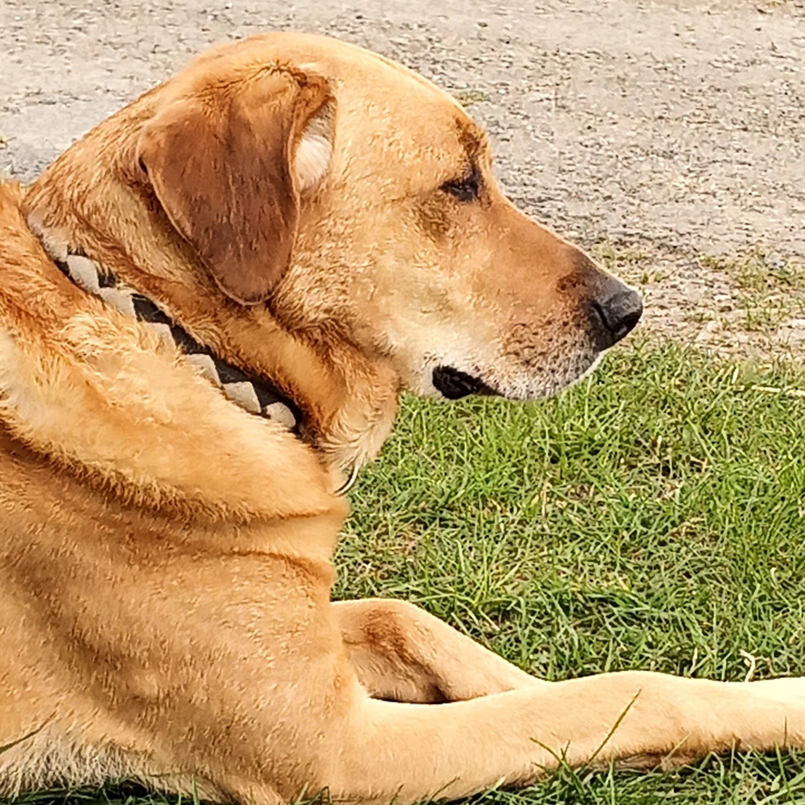 IMG_20220510_181449_554