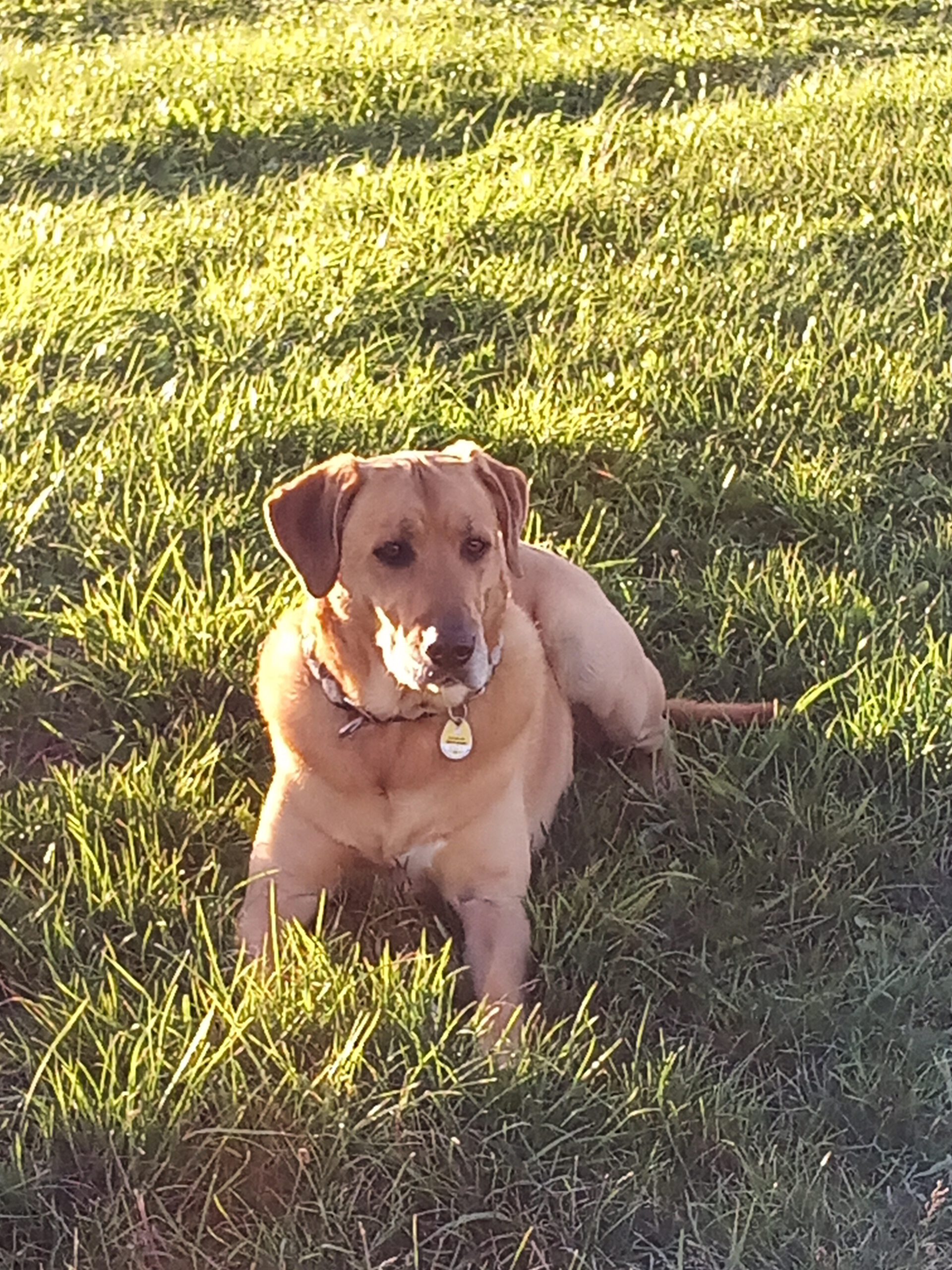 IMG_20221007_174701_118