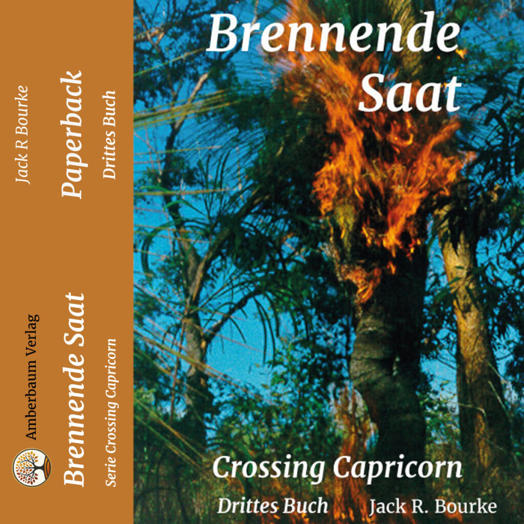 Crossing Capricorn, 3. Buch: Brennende Saat, Taschenbuch